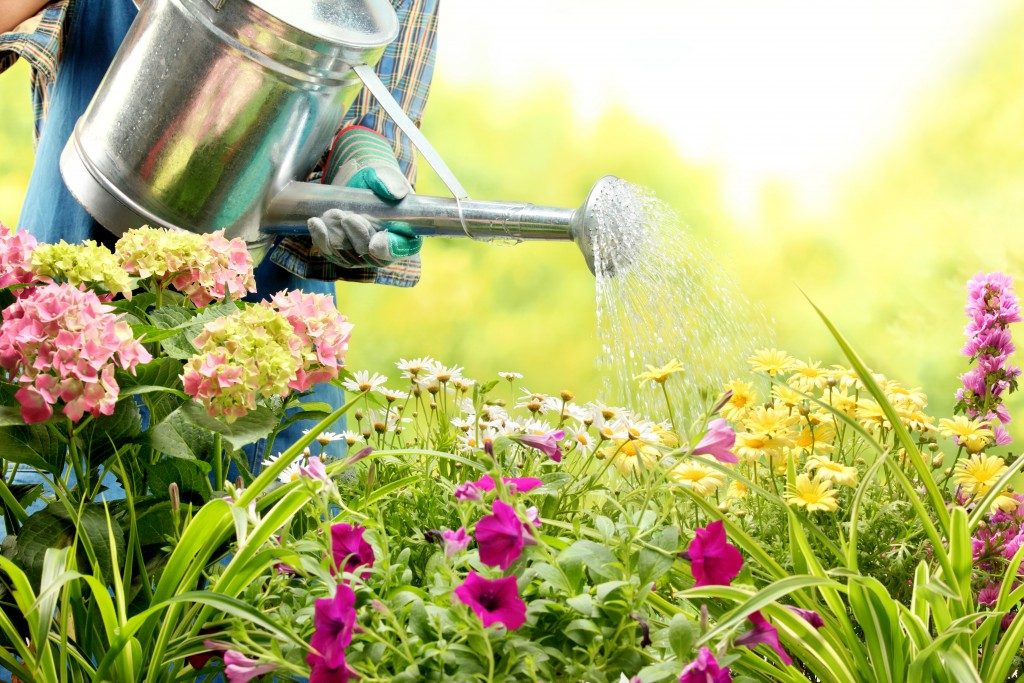 watering flowers in garden centre