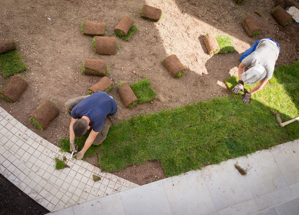 laying down grass