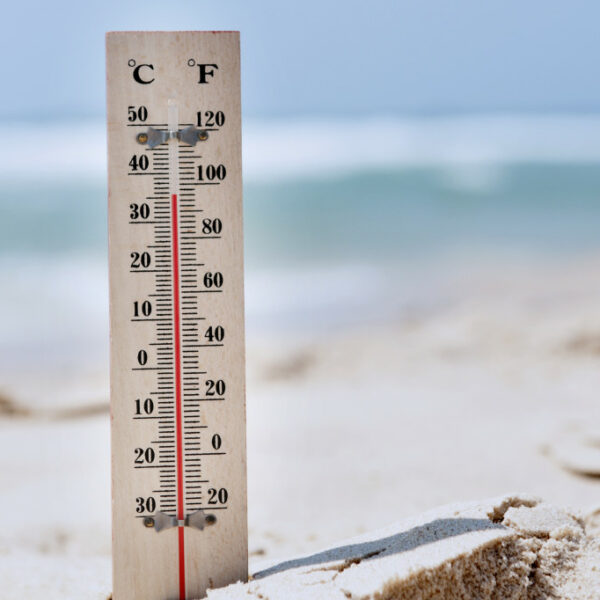 How to Keep Your Employees Safe in the Sun