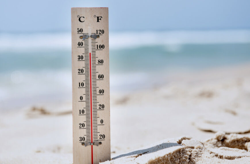 How to Keep Your Employees Safe in the Sun