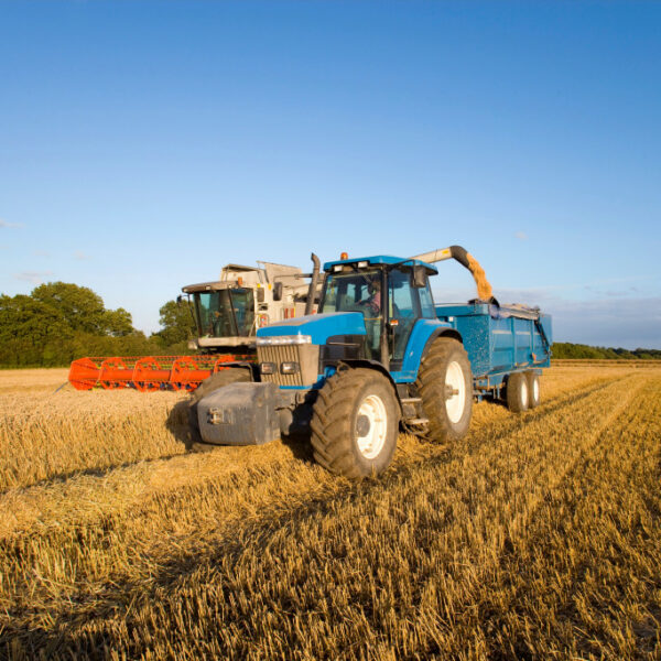Starting up a Farming Business on a Budget
