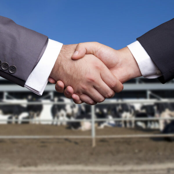 Contracting in the Modern Era: Essential Strategies for Long-Term Viability