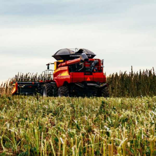 Tips for Maximizing Profits in Agribusiness