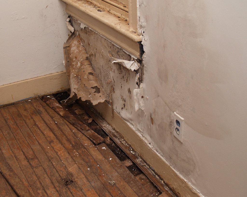 Property damage in rental property